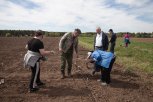 Как рождается соя: амурские селекционеры вывели 30 новых сортов