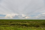 Торговавшую несуществующими земельными участками амурчанку осудили на три с половиной года