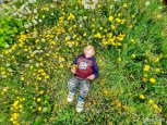 Как вернуться в рабочий ритм, и зачем в Германии нумеруют все деревья: утро с «Амурской правдой»