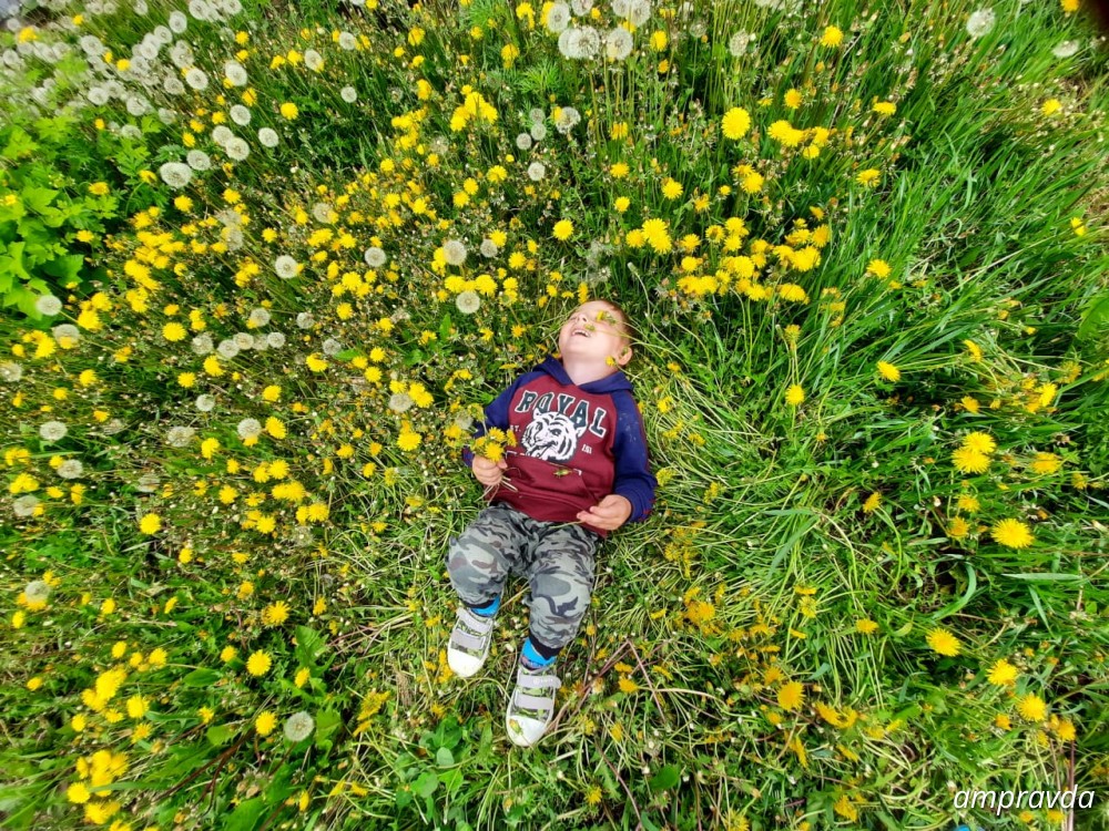 для чего нумеруют деревья