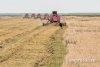Губернатор Приамурья: «Константиновскому району нужны инвестиции в сельское хозяйство»