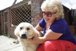 Эвакуация Дружка: символа наводнения 2013 года планируют вывезти из Владимировки сегодня вечером