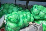 Амурских подтопленцев обеспечат овощами
