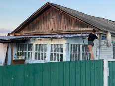 Благовещенские волонтеры спасают четвероногих питомцев в затопленных селах - Vimarsana News