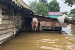 «Запер в сарае и уехал»: в затопленной Сергеевке из-за халатности сельчанина погибли собаки и скот