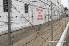 Сотрудника амурской колонии оштрафовали и уволили за помощь заключенным - Vimarsana News