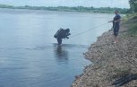 Шесть амурчан утонули в водоемах с начала недели