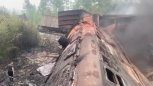Сердечный приступ: названа предварительная причина столкновения поездов в Приамурье (видео)