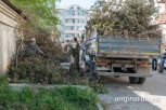 Минприроды области: ветки и мусор после уборки территории обязан вывозить региональный оператор