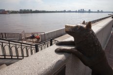 Опять вода: сильные дожди сформировали паводок на амурских реках - Vimarsana News