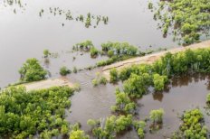 Вода ушла с девяти участков дорог: паводковая обстановка в Приамурье - Vimarsana News