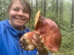 Амурчане собирают грибы-гиганты: таежный фоторепортаж главреда АП с «тихой охоты» в Зейском районе