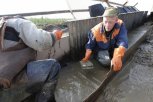 Росприроднадзор и Роснедра проверят владельцев лицензий на добычу золота в Амурской области