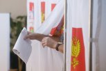 В Амурской области накануне выборов в Законодательное собрание составили рейтинг политических партий