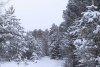 В Зейском районе накануне выпал первый снег