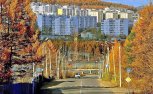 Мэр Тынды собирает от горожан адреса с холодными батареями