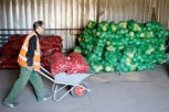 Благовещенским подтопленцам выдадут по 270 килограммов овощей за потерянный урожай