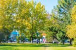 В Амурскую область пришла астрономическая осень
