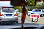Две новых вспышки АЧС зарегистрированы в Амурской области