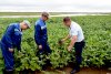 Паводок «Корфовскому» не помеха: как хозяйство собрало урожай и спасло село от воды