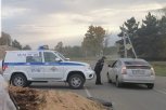 На автодороге Верхняя Полтавка — Новоалександровка временно закрыт проезд из-за карантина по АЧС
