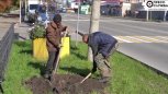 Более 1 300 деревьев и кустарников высадят в центре Свободного