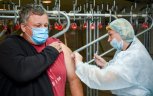 Амурчан призывают вакцинироваться от гриппа: прививки поставили уже больше 126 тысяч человек