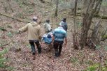 Амурчанин упал с дерева во время сбора кедровых шишек