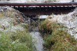 В Приамурье вернулись осадки: мокрый снег и дождь при северном ветре и +12 градусах
