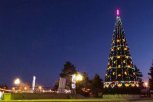 На площади Ленина в Благовещенске к Новому году установят новую елку