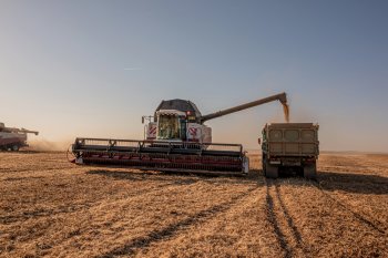 Все в сборе: в амурских хозяйствах завершается уборочная кампания сои