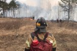 Амурские пожарные потушили 17 палов за сутки