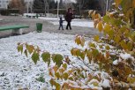 В День народного единства в Приамурье снег и дождь