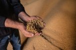 Амурские аграрии поставили рекорд по урожайности сои