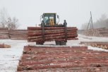 Группу амурчан подозревают в вырубке больше 200 сосен на территории Магдагачинского района