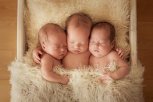В Амурской области в этом году родилось шесть троен