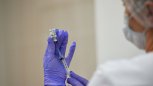 Благовещенск и Зея в лидерах: от COVID привились 63,3 процента амурчан