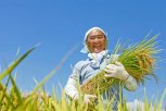 Японская франшиза для фермеров: в Приамурье предложили создать центр трансфера аграрных технологий