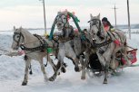 Русская тройка и таёжный экстрим: туристический форум рассказывает о зимнем отдыхе в Приамурье