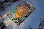 Амурские охотоведы начали «учет» тигров на ледовых открытках