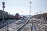 В Шимановске грузовой поезд сбил молодую женщину