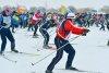 Программа «Лыжни России» в Благовещенске: катание на ездовых собаках, мастер-классы по сноубордингу