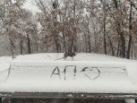 В День всех влюбленных в Амурской области выпадет снег