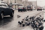 В Амурскую область придет снежный циклон и похолодание
