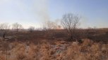 Fire threat: first spring fires approach Amur villages