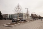Липовая зима: скандальные немецкие деревья выжили в амурские морозы