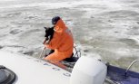 В Благовещенске спасли попавшую на льдину на Амуре собаку