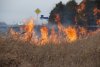 За сутки в Амурской области 20 раз тушили палы: пожарную обстановку ухудшает ветреная погода