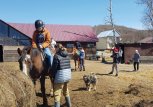Конный клуб «КонТур» приглашает школьников на уроки верховой езды
