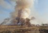 Из-за природного пожара в Благовещенске и двух селах оперативно проверили качество воздуха